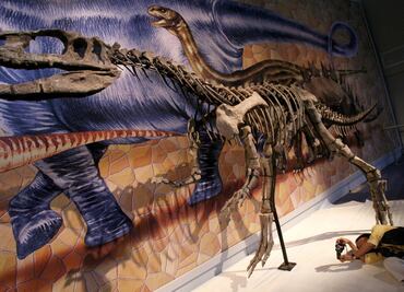 La extinción de los dinosaurios comenzó 10 millones de años antes del choque de asteroide