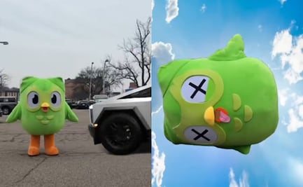 Duolingo revela que su mascota fue atropellada por una Cybertruck; ofrece recompensa para identificar a conductor