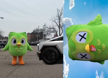 Duolingo revela que su mascota fue atropellada por una Cybertruck; ofrece recompensa para identificar a conductor