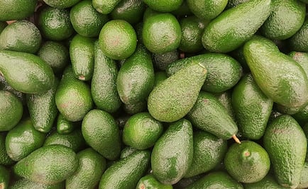 Aguacate baja a 75 pesos en la Central de Abasto de la CDMX