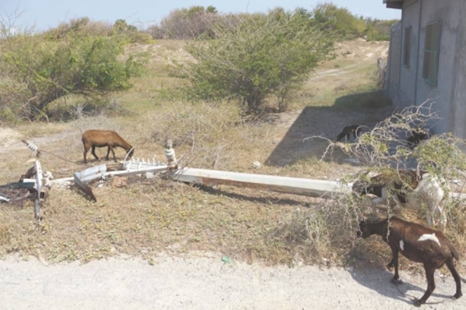 Temor al Interoceánico frena granja solar para Santa María del Mar, comunidad 10 años aislada