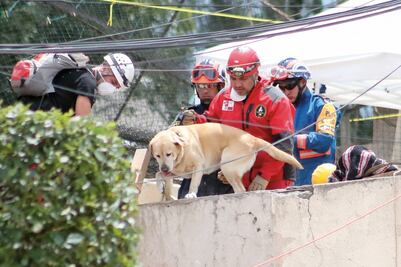 Evitan entrada de maquinaria a colegio