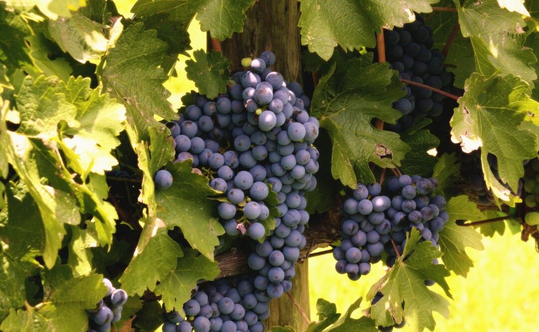 Pueblos Mágicos para festejar a mamá el 10 de mayo.   Imagen: México en Fotos, A.C. Flikr