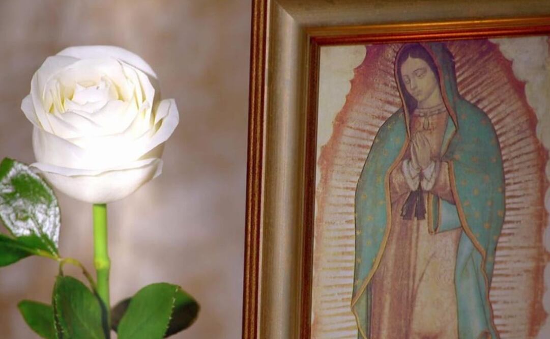 La rosa de Guadalupe, que este 2022 cumple 14 años de vida, acudió al auxilio de Televisa. Foto: Archivo/EL UNIVERSAL