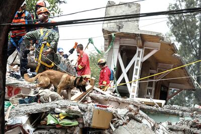 Rescatistas internacionales apoyan labor en la CDMX