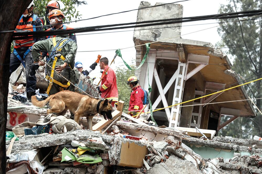 Las labores de búsqueda y rescate se prolongaron durante todo el día de ayer, utilizando todas las herramientas, incluyendo los binomios caninos. (CRISTOPHER ROGEL BLANQUET. EL UNIVERSAL)