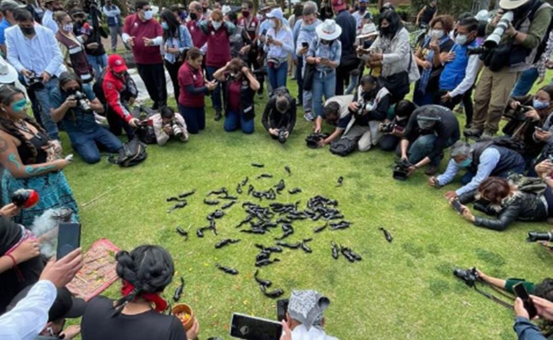 Foto: Twitter @ElTrinarNoticia