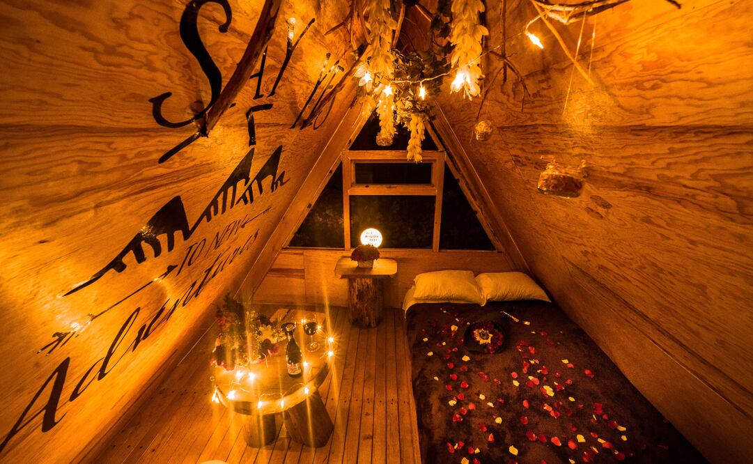 Foto: Cortesía Canto del Bosque