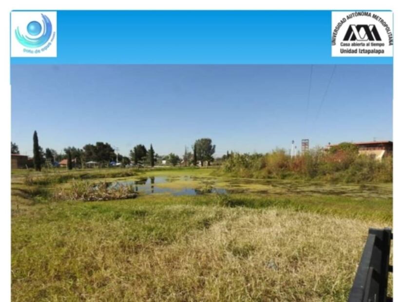 Industria y agricultura se adueñaron de ríos y lagos para convertirlos en drenaje