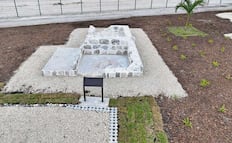 Dudan de la justicia, en destrucción maya; arqueólogos temen que denuncia por daños del Tren Maya no prospere