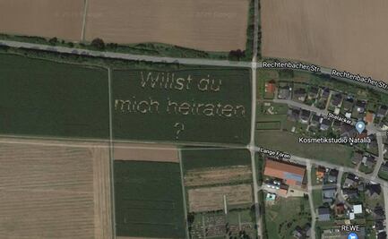 Propone matrimonio en campo de maíz de Alemania y aparece en Google Maps 