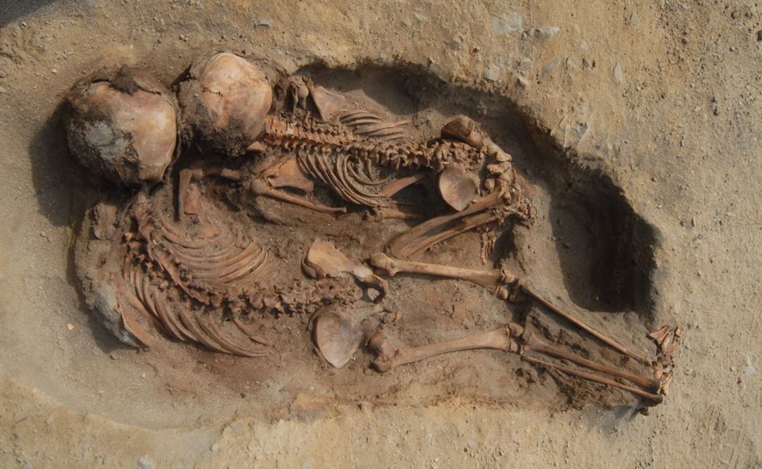 Foto: EFE/John Verano/Tulane University