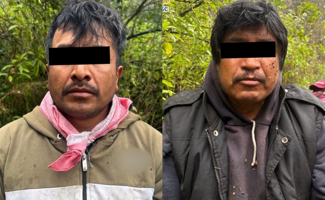 Dos hombres que talaron árboles en la alcaldía Milpa Alta fueron detenidos por efectivos de la policía, informó la Sedema.
Foto: Especial.