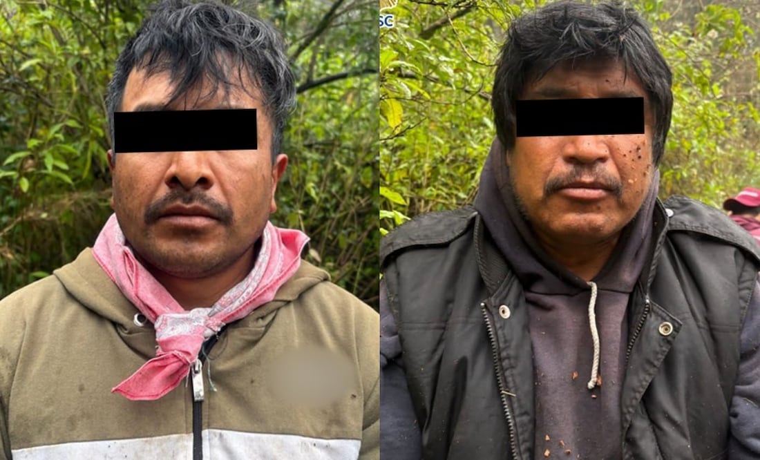 Dos hombres que talaron árboles en la alcaldía Milpa Alta fueron detenidos por efectivos de la policía, informó la Sedema.
Foto: Especial.