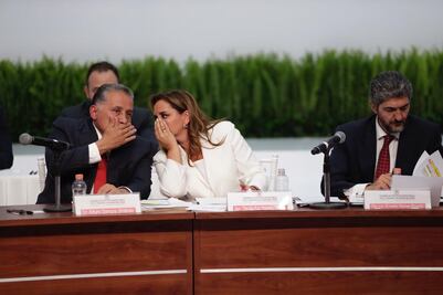 Ruiz Massieu pide debatir respuesta del INE, sobre costo de organizar elección interna