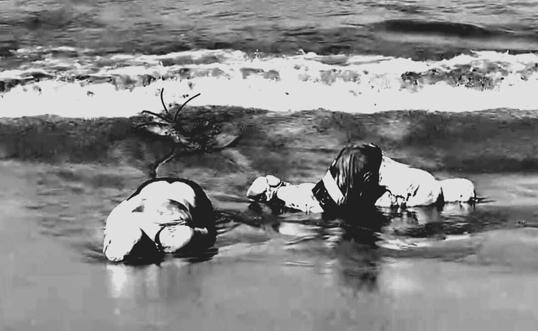 Cuerpos hallados a orillas de la playa Revolcadero / Captura de pantalla