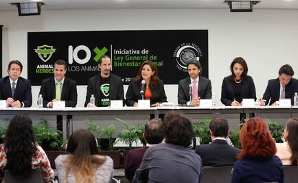 Impulsan en Senado iniciativa sobre Ley de Bienestar Animal