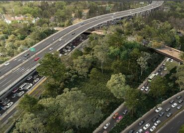 Puente peatonal en Bosque de Chapultepec será con diseño de Gabriel Orozco: Sheinbaum