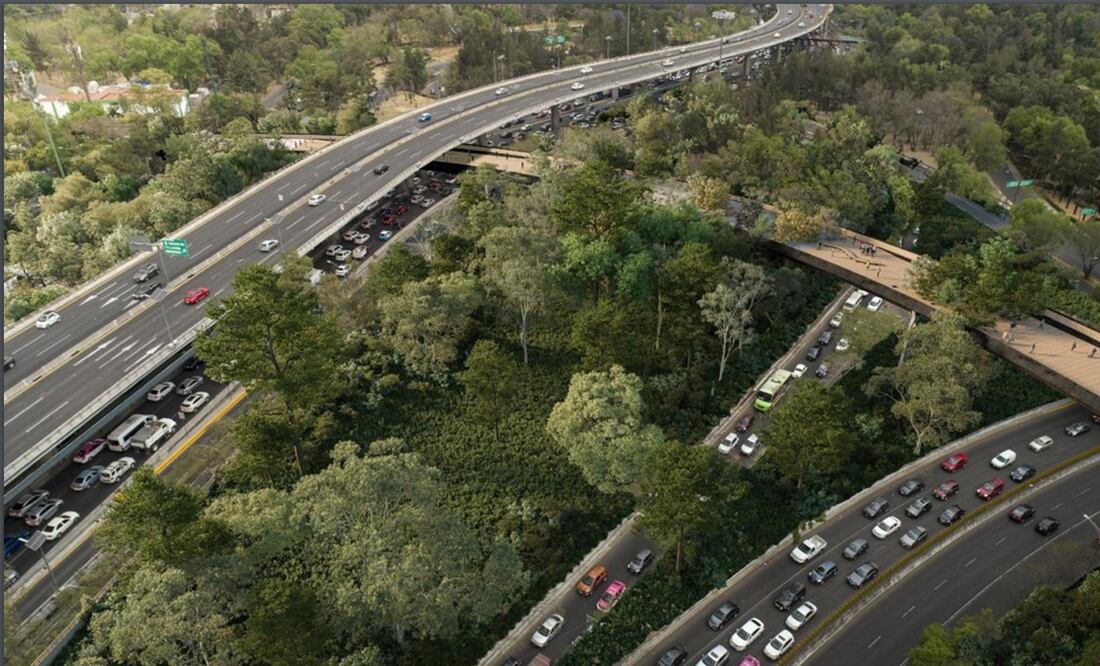 El trabajo técnico lo llevará a cabo la Secretaría de Obras para que cumpla todos los criterios estructurales y no tenga que haber tala de árboles. Foto: Archivo/EL UNIVERSAL