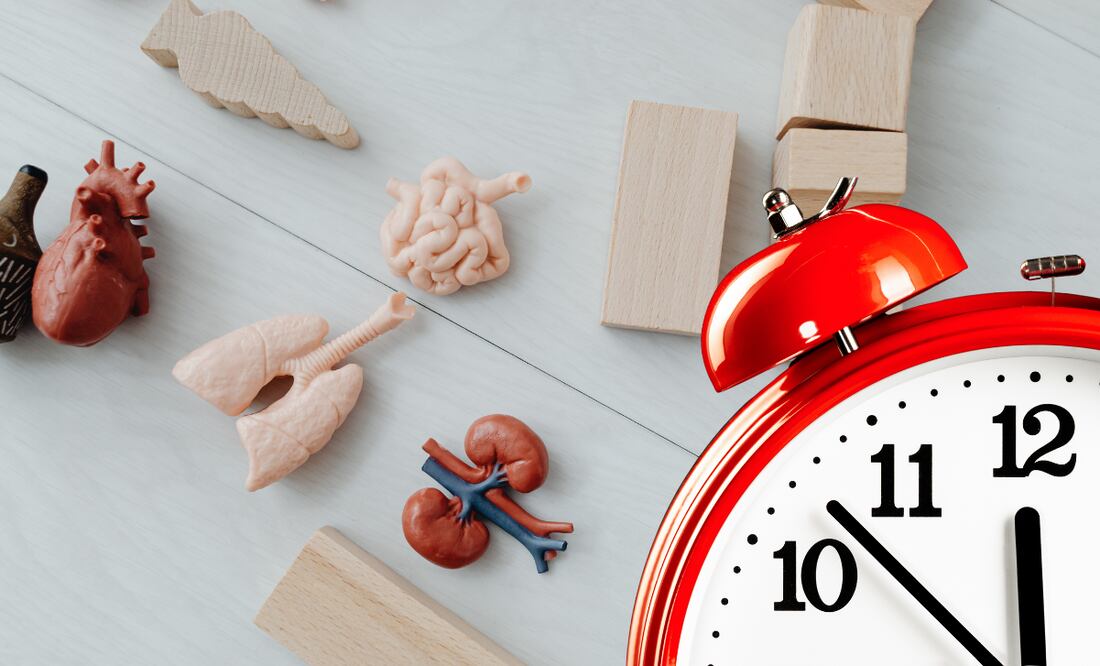 Conoce la edad biológica de tu cuerpo con este sencillo ejercicio. Foto: Pixabay