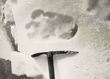 Presunto "hombre de las nieves" siembra el pánico en Georgia