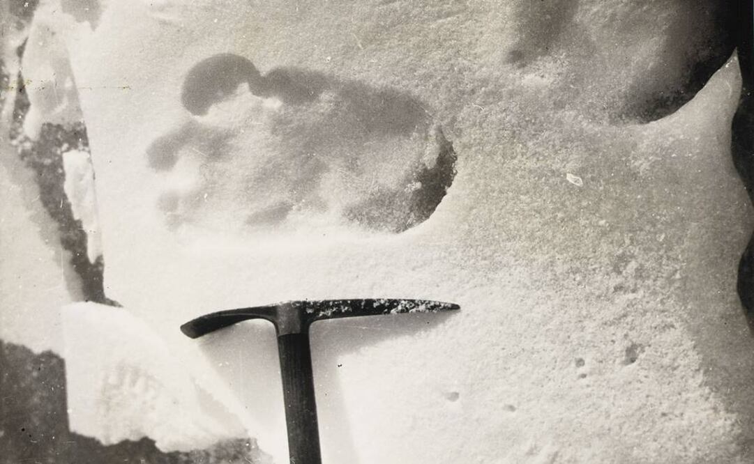 (Foto: Archivo - Sólo ilustrativa)