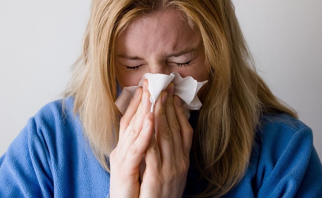 Una infusión llena de Vitamina C. Imagen: Pixabay 