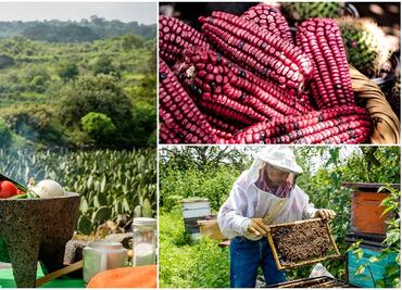 Prueba los sabores de la ruta de la milpa