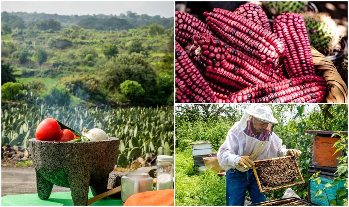 Foto: LUIS SANDOVAL / ¡Lánzate a Milpa Alta para conocer de cerca sus sabores!