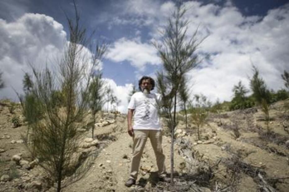 “El Quijote” que impulsa la reforestación 