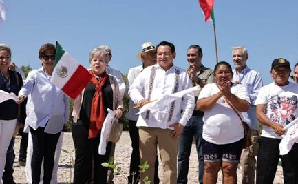 FGR investiga destrucción del manglar en Sisal,  Yucatán; Semarnat advierte consecuencias legales