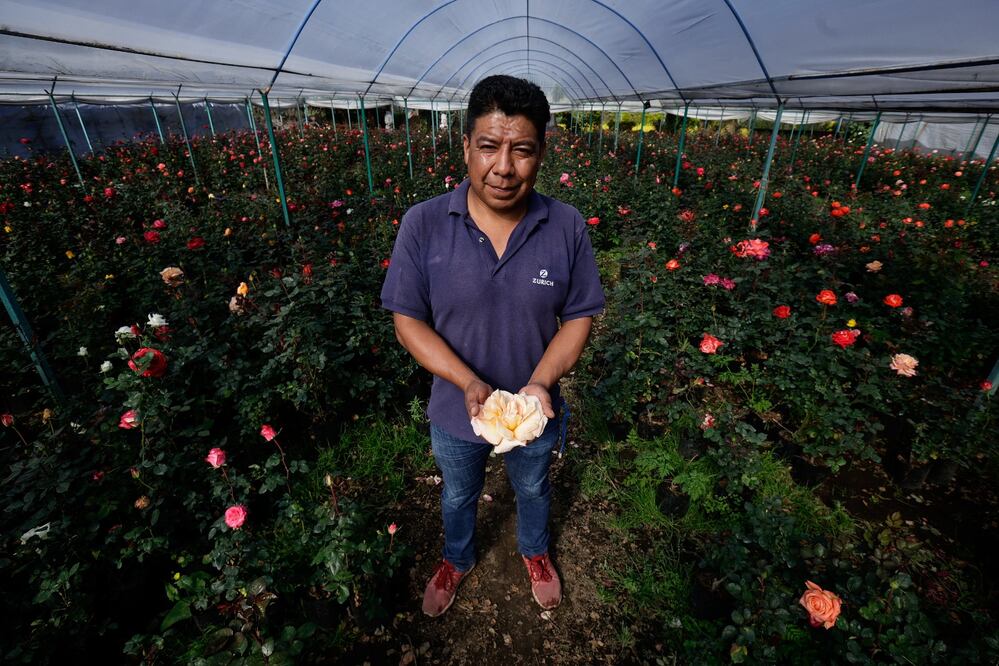 Foto: Fernanda Rojas | El Universal