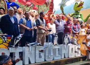 VIDEO: ¡Ya los puedes visitar! Zoológico de Chapultepec celebra sus 101 años con nuevos pingüinos de Humboldt