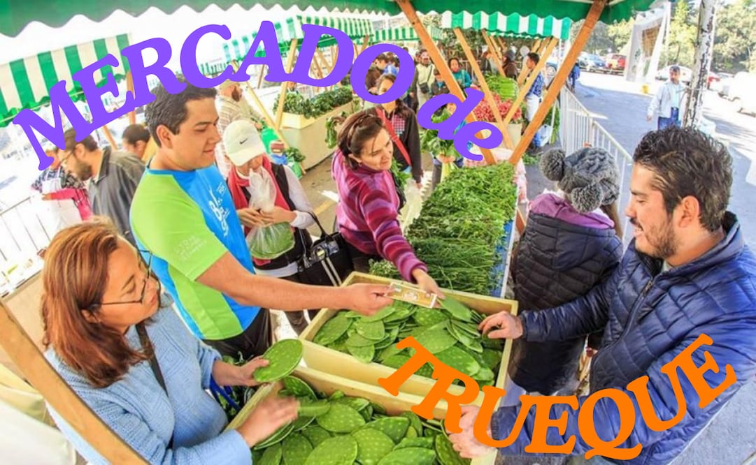 Ciudad de México impulsa una estrategia integral para reducir el impacto ambiental derivado de la basura orgánica e inorgánica generada en los hogares.
Foto: El Universal