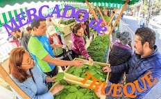 Mercado de Trueque en Iztacalco; ¿qué es, cómo funciona y dónde estará?