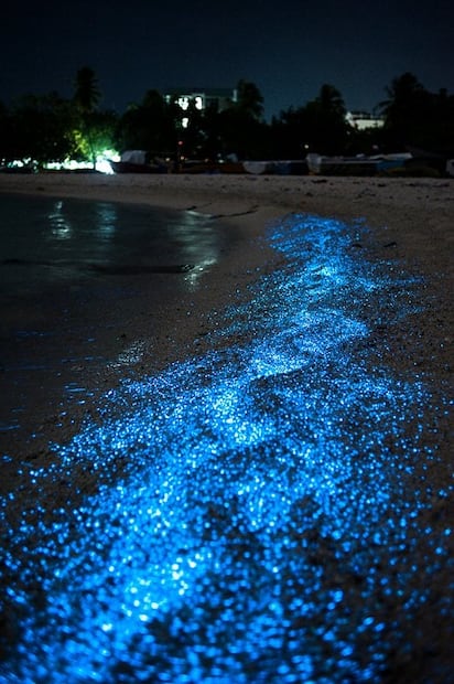 6 playas en México que brillan en la noche