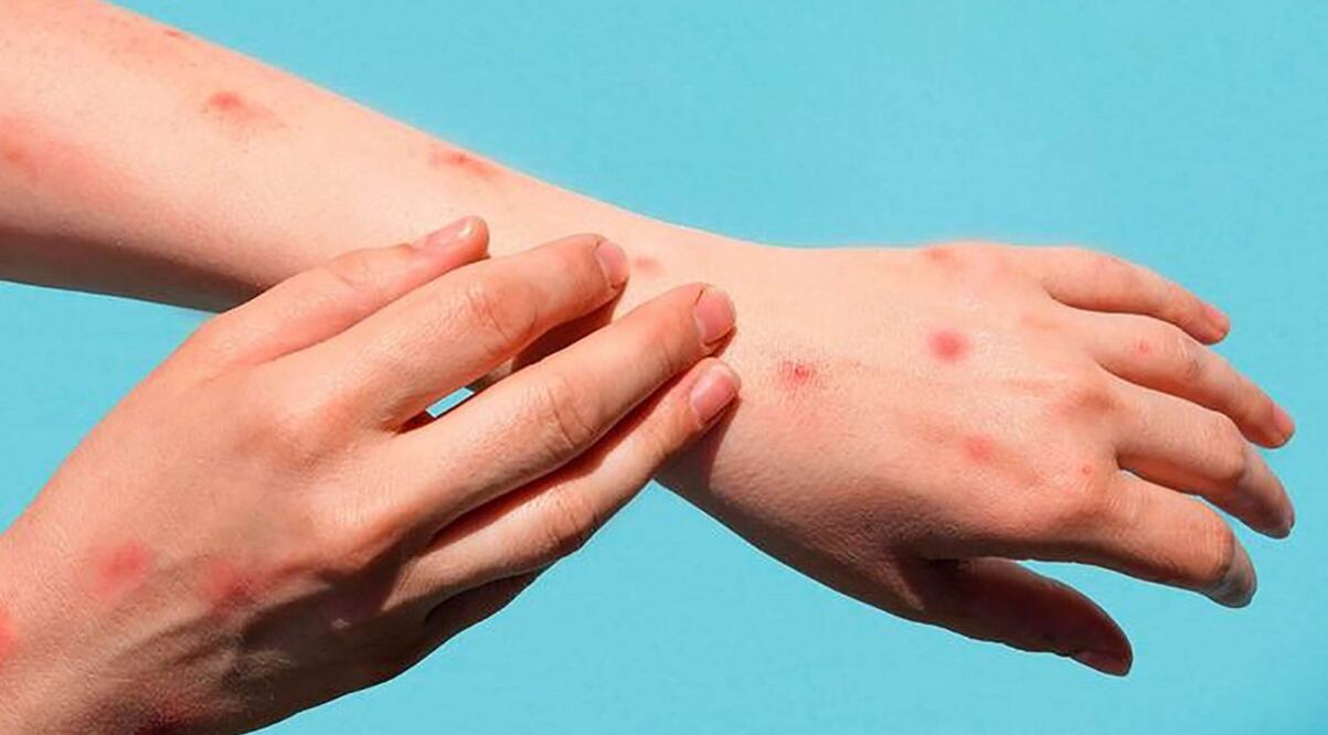 Foto: Archivo EL UNIVERSAL