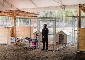 Fundación Antonio Haghenbeck reconoce "determinación" del Gobierno de CDMX en caso del Refugio Franciscano; hay condiciones para adopciones, dice