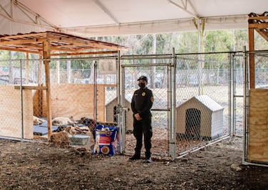 El albergue de la SSC para animales llega a mil 350 espacios