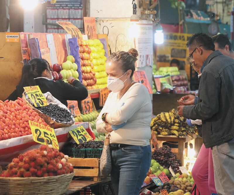 Con los tratados comerciales ha crecido el riesgo de que entren alimentos contaminados, advirtió la legisladora Guadalupe Chavira. Foto: ARCHIVO EL UNIVERSAL