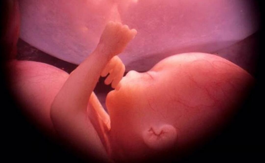 Imagen referencial. (Foto: Especial)