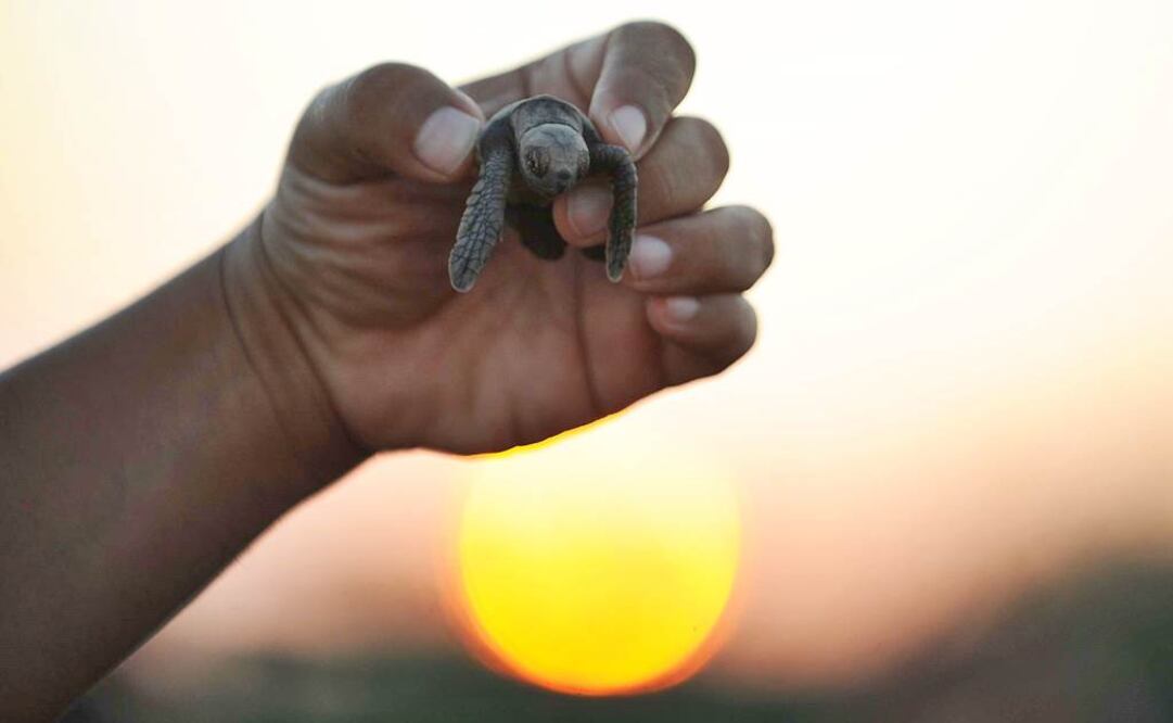 Foto: Archivo EL UNIVERSAL