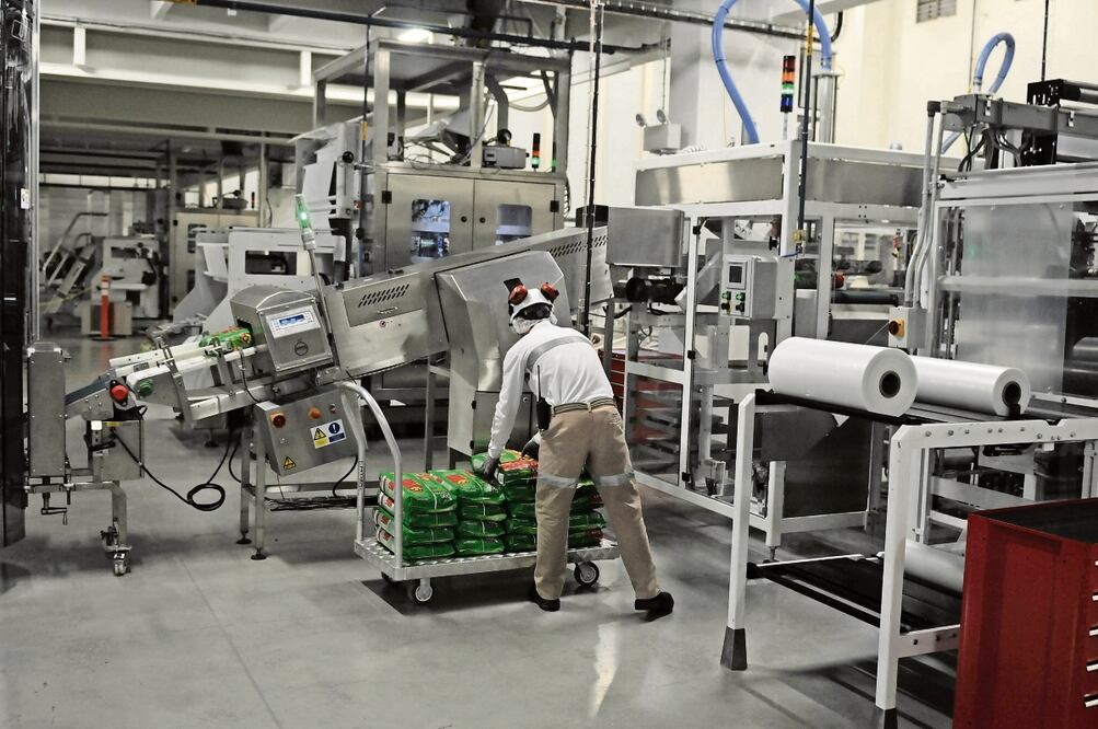 Los estados con mayor crecimiento fueron: Oaxaca con un alza mensual de 18.3%; San Luis Potosí, 10.2%; Campeche, 9.0%; Puebla, 8.6%; y Guerrero, 3.6%