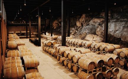  Viñedo San Miguel estrena etiquetas 