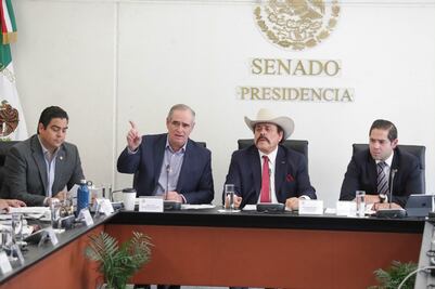 Sin escucharlos, ya existe dictamen sobre candidatos a la CRE, denuncia PAN en el Senado