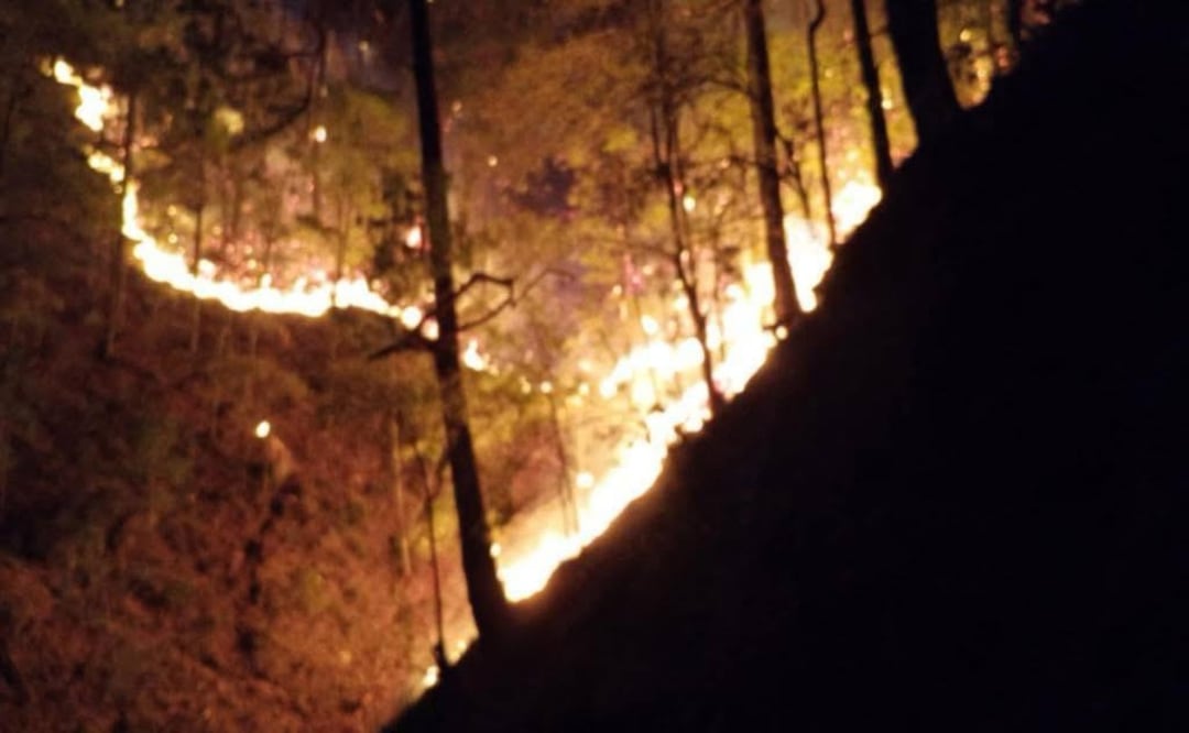 Analizan evacuación preventiva en La Encarnación, Hidalgo; incendio forestal consume 120 hectáreas. Foto: Especial