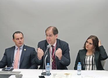 Habrá destreza y dignidad con futuro gobierno ante EU: Basave