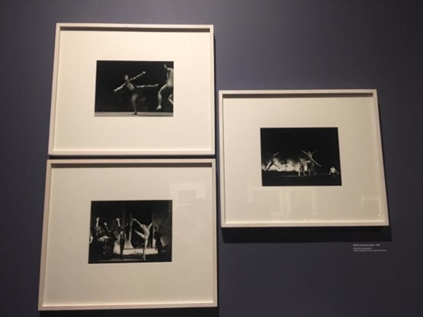 Moya festeja 85 años con exposición en Bellas Artes