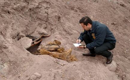 Chile: Hallan momias de hace 900 años