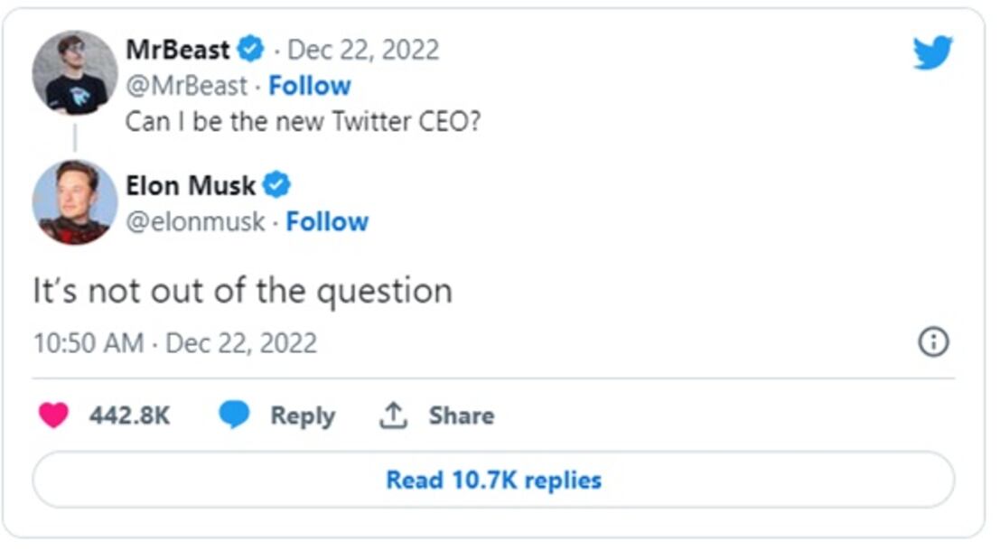 Youtuber pide trabajo a Elon Musk; quiere ser CEO de Twitter